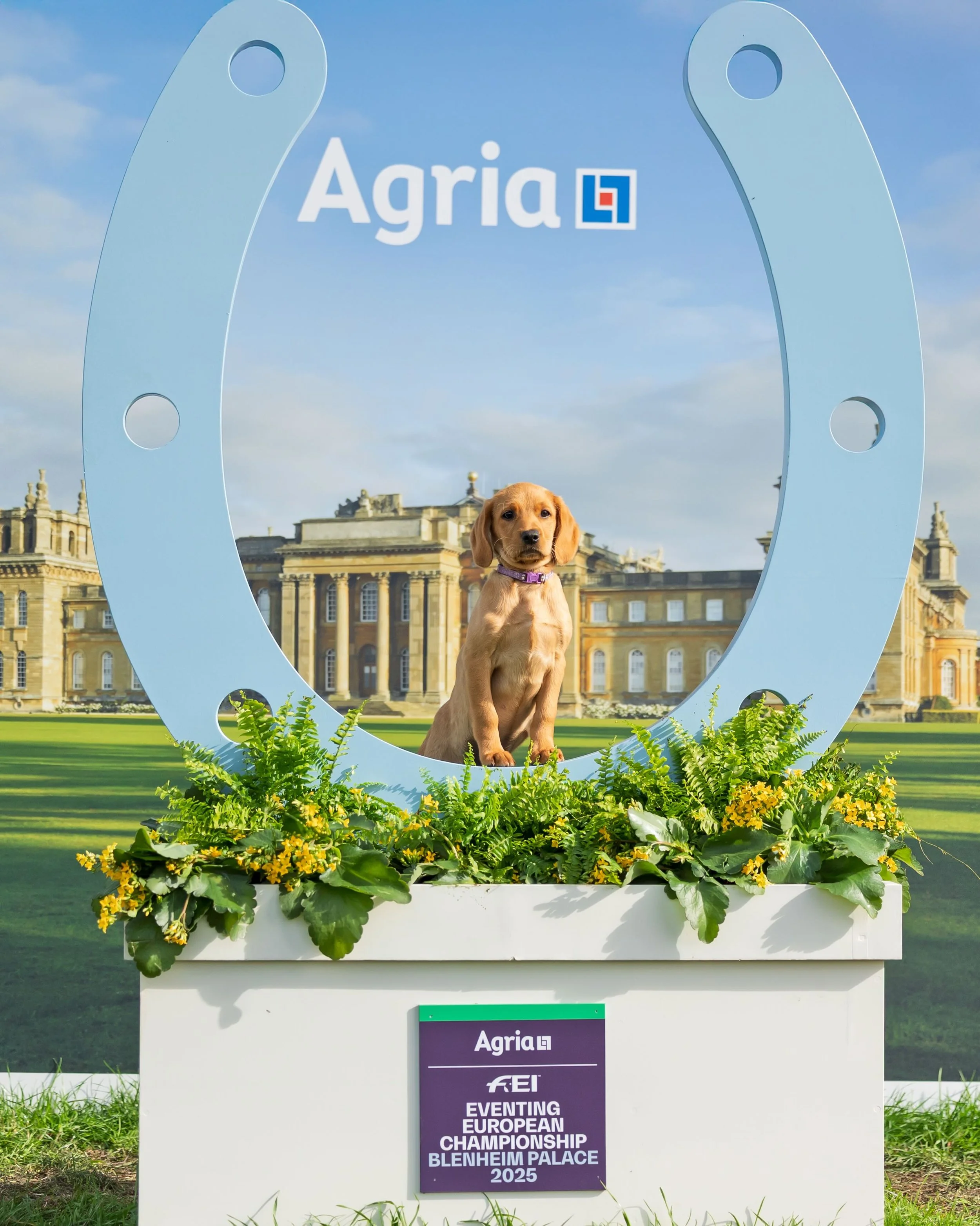 Blenheim Credit Kirsty Pasto99 copy.jpg