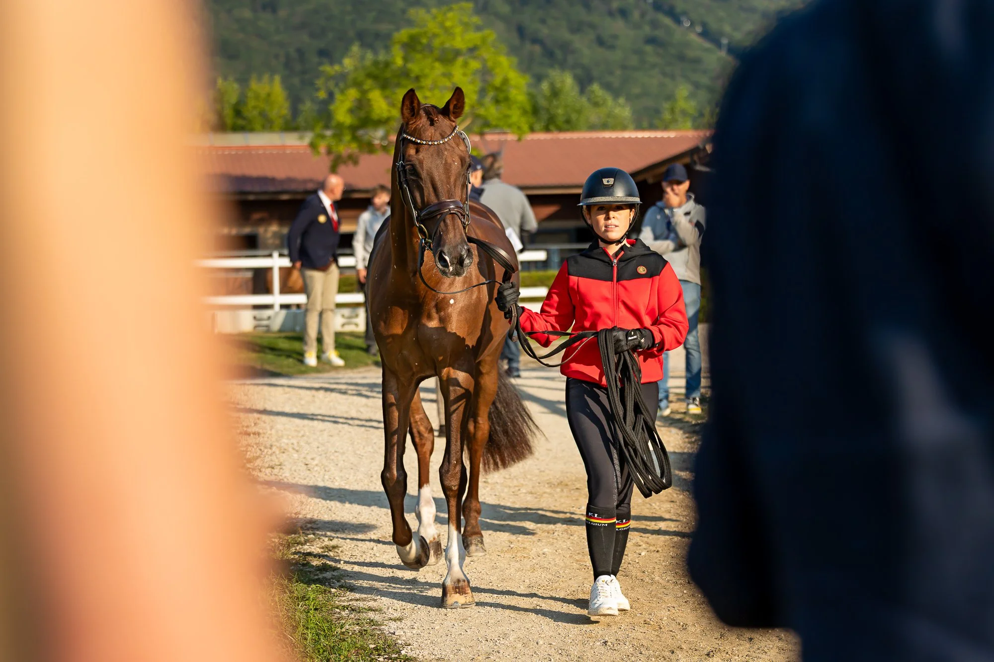 Jiva Hill FEI Dressage Europeans Kirsty Pasto_Images_Jiva Hill Horse Inspection ©Kirsty Pasto-5.jpg