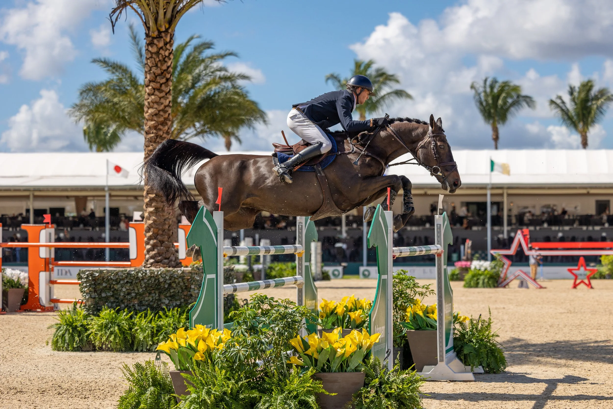 WEF Florida 7