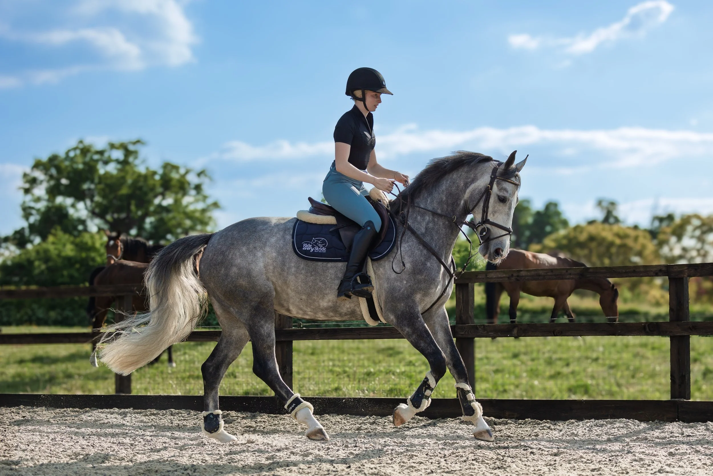 Julia Ariat-2 copy.jpg