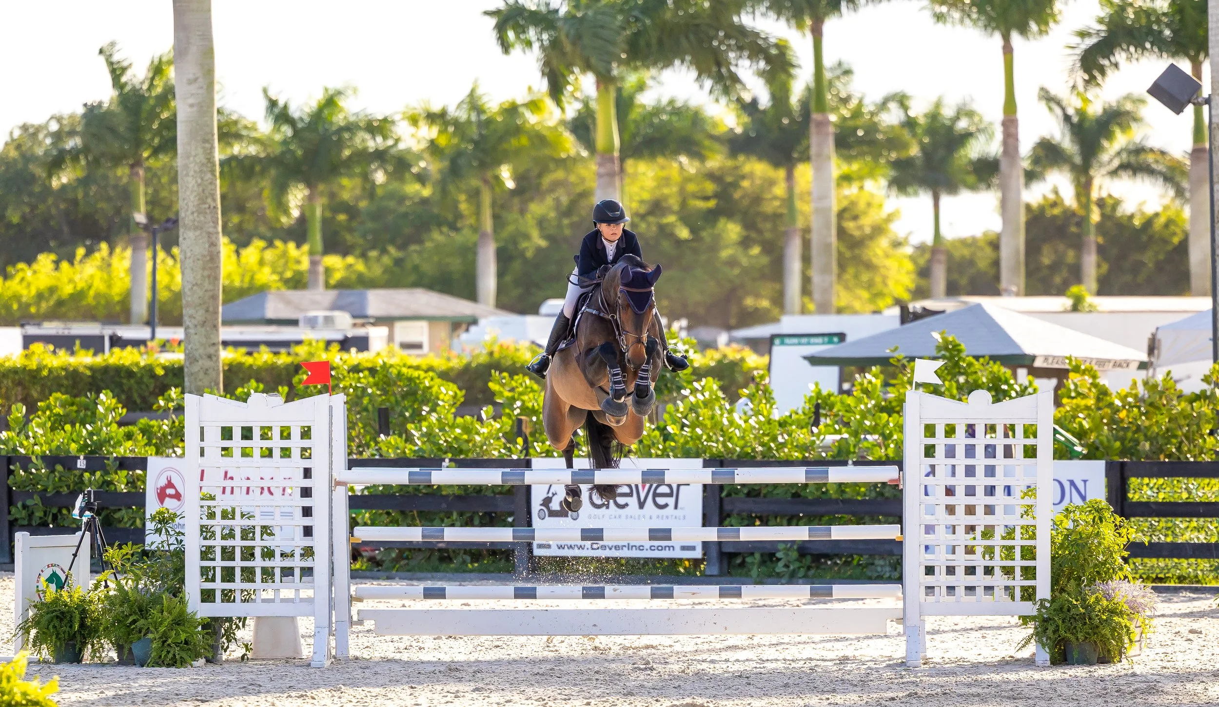 WEF Florida 2