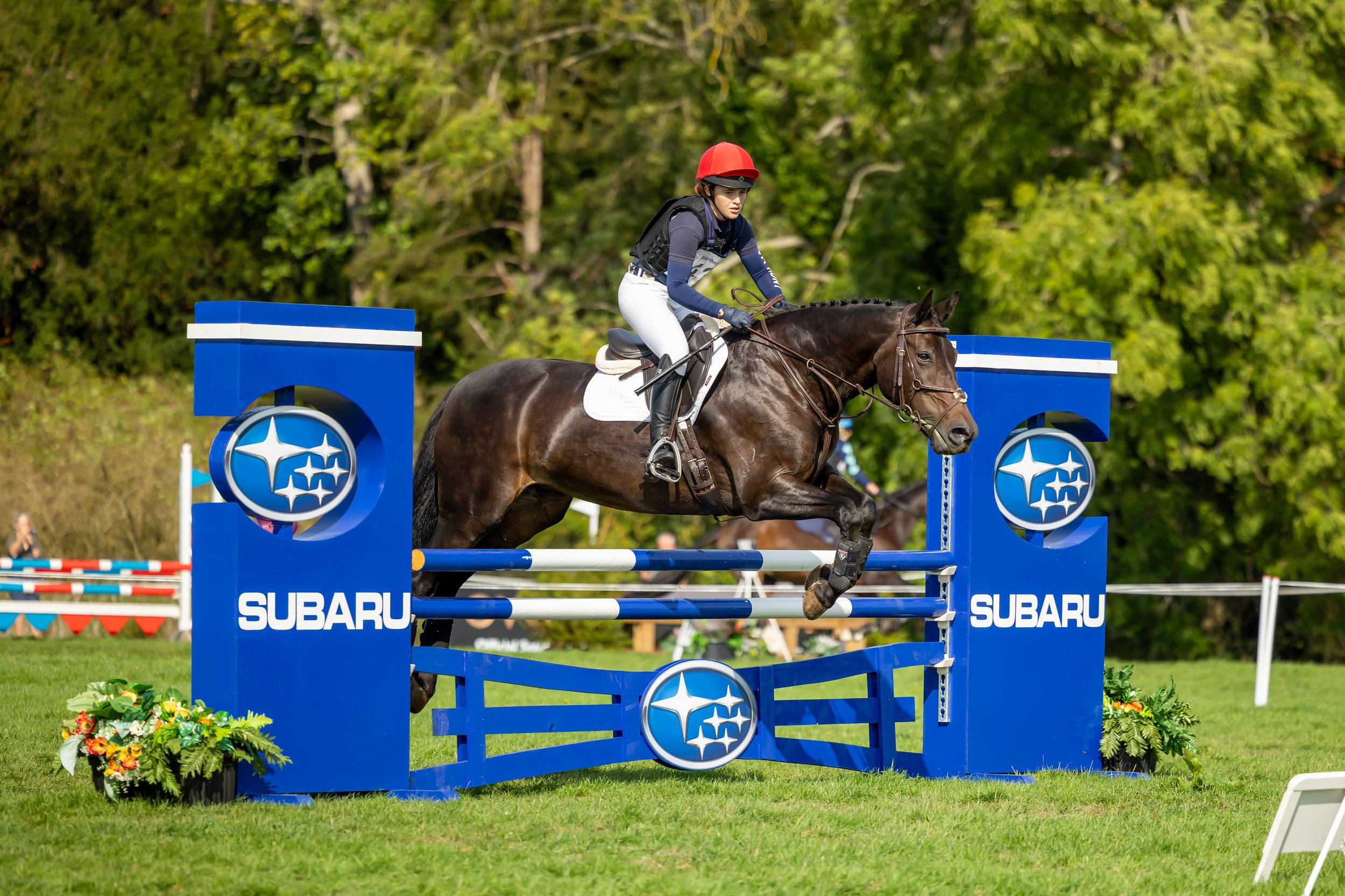 Blenheim Credit Kirsty Pasto39 copy.jpg