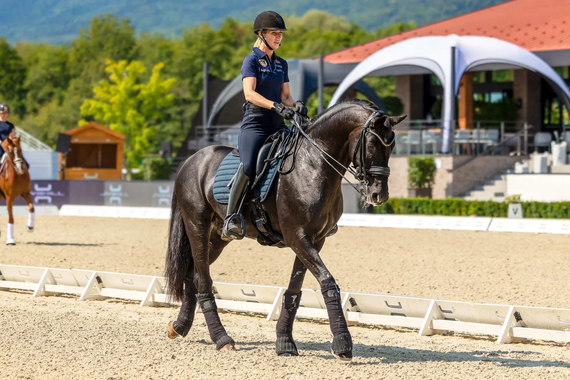 Jiva Hill FEI Dressage Europeans Kirsty Pasto_Images_Isabel Freese ©Kirsty Pasto.jpg
