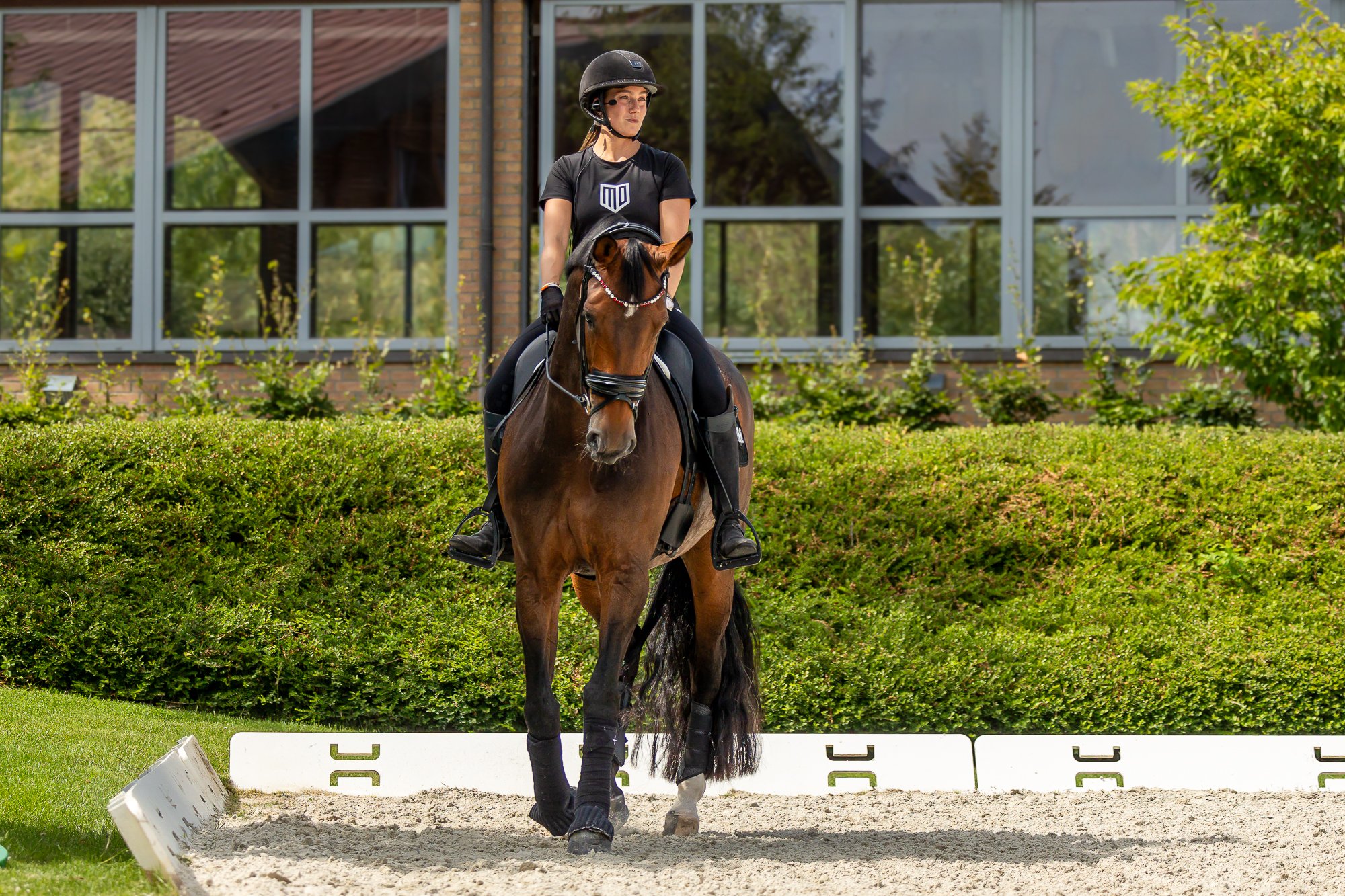 Jiva Hill FEI Dressage Europeans Kirsty Pasto_Images_Jiva Hill Arrival Day ©Kirsty Pasto-6.jpg