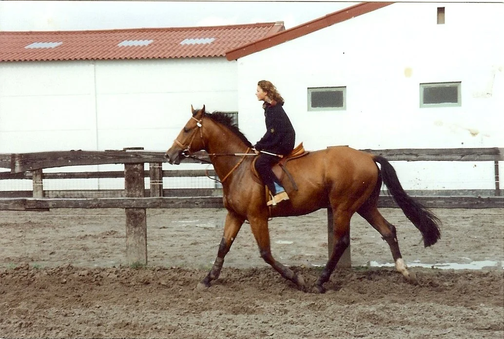 scannen0067.jpg