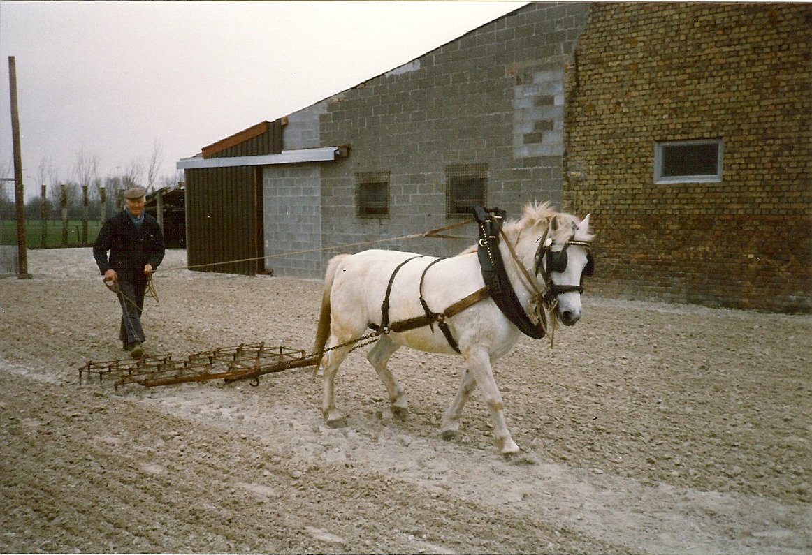 scannen0037.jpg