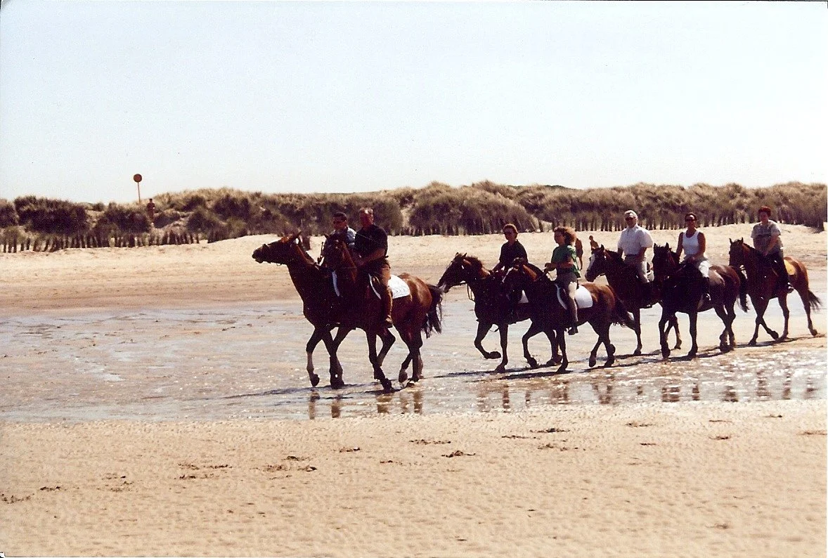 scannen0115.jpg
