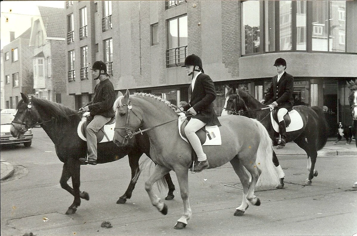 scannen0030.jpg