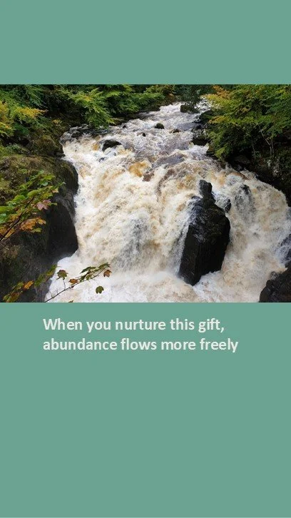 The 9 Types of Feng Shui Wealth