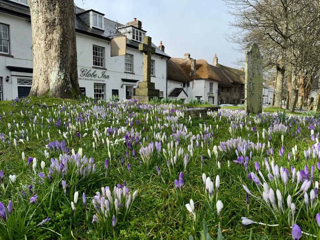 Valentine’s Weekend Offer