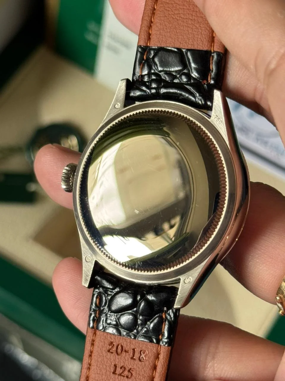 WhatsApp Image 2025-10-10 at 3.30.45 AM.jpeg