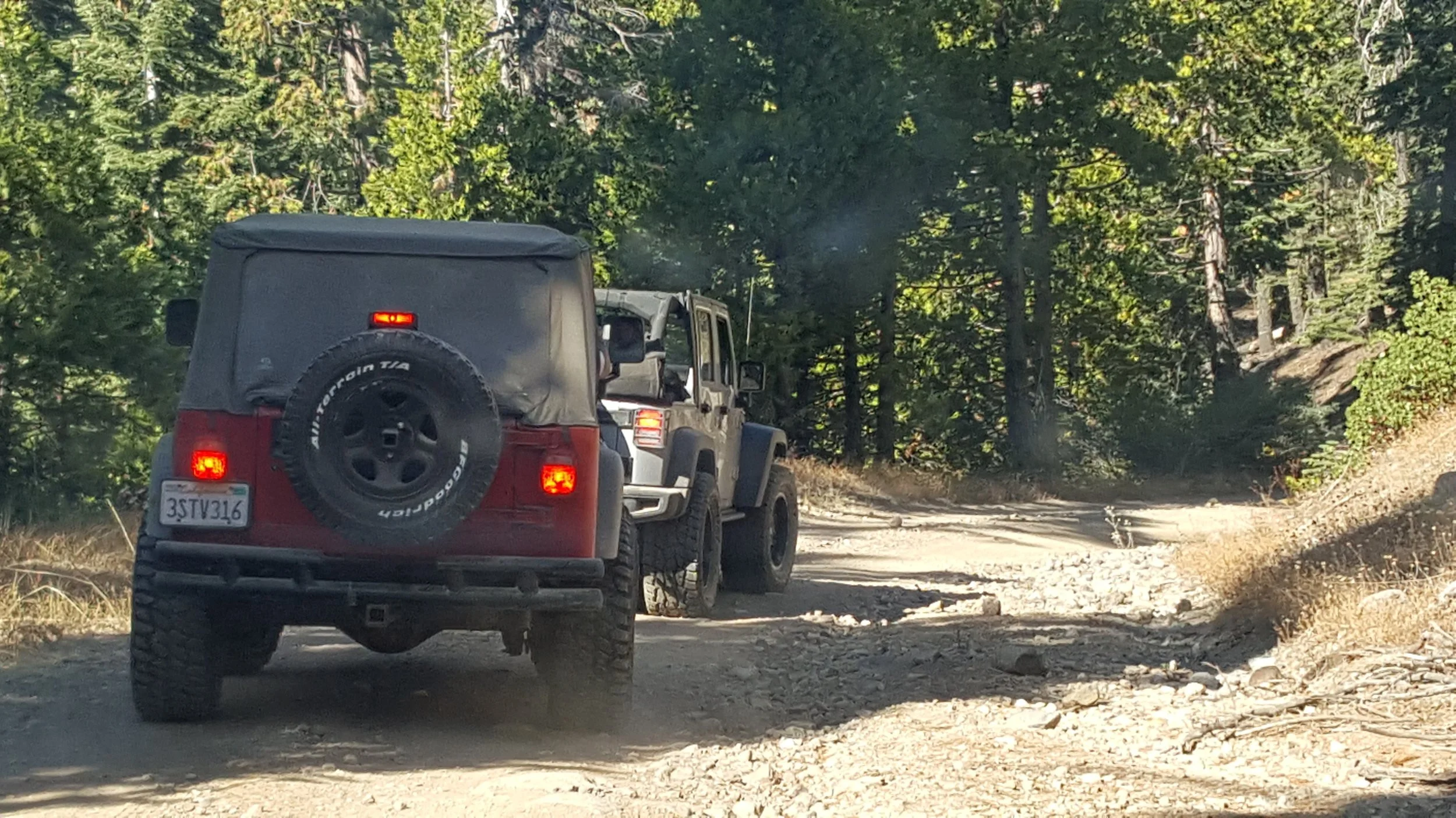 A red Jeep Wrangler leading a silver Jeep on a dusty off-road trail through a forest