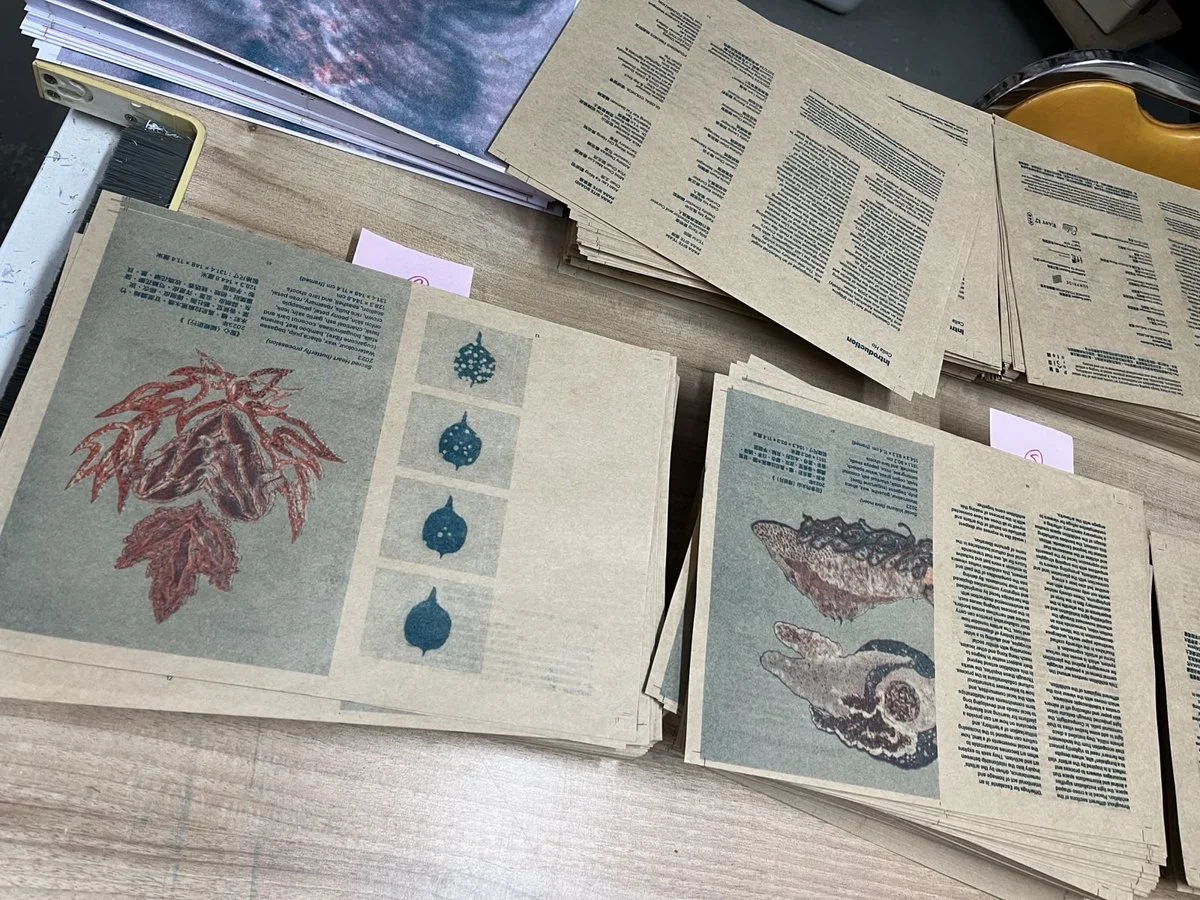 Offerings for Escalante 3.jpeg