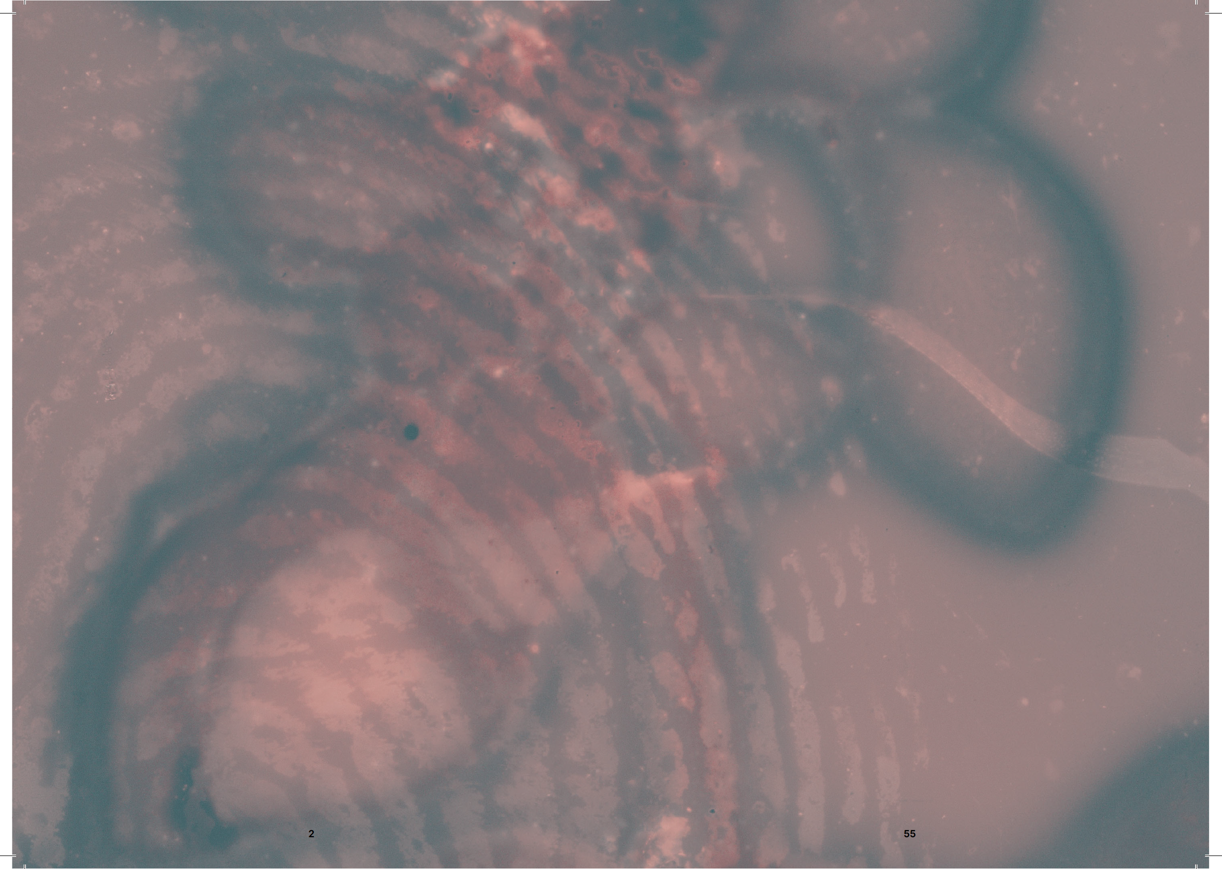 Screenshot 2025-03-11 at 2.02.33 PM.png