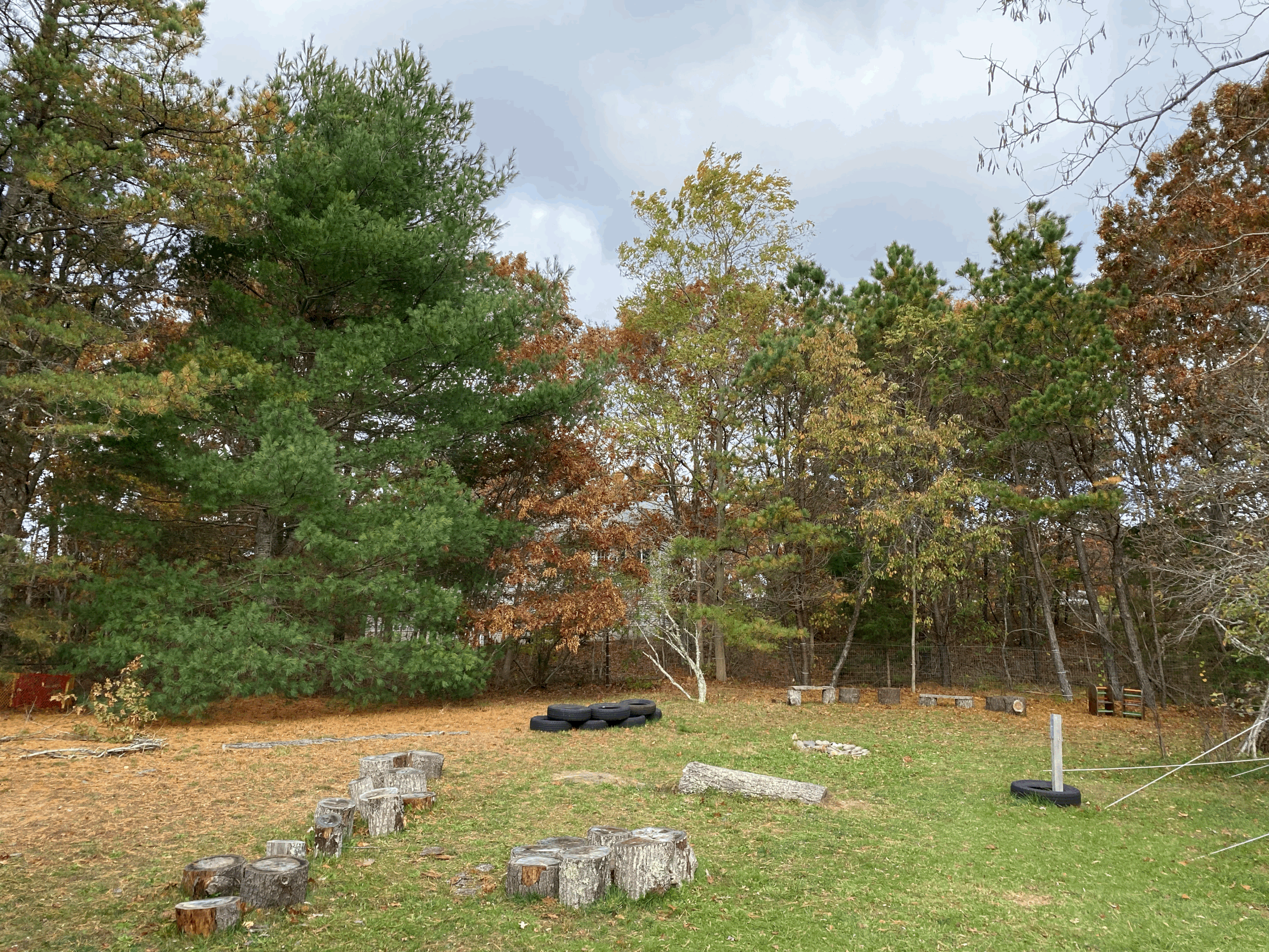 Urban Forest School in Session!