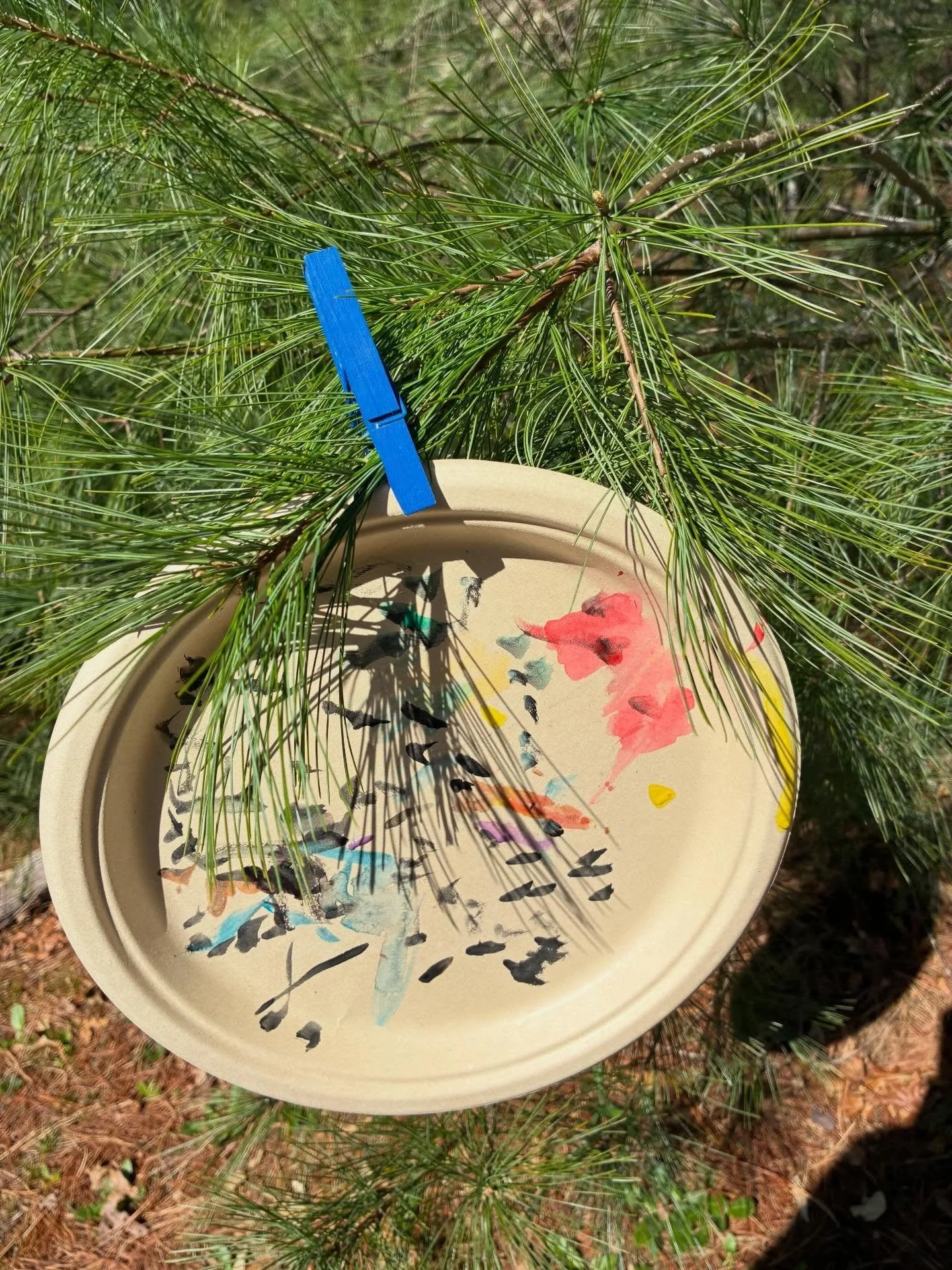 Adding color to the world, by nature 🤩☀️💗🌲🎨 #natureplay #decolores🌈