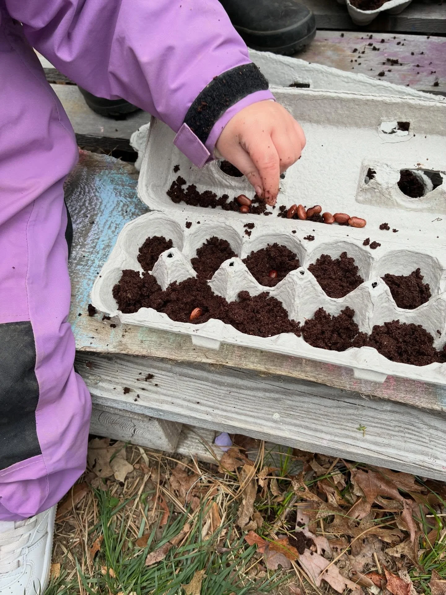 Plantando 🌱☀️✊🏽 Happy Earth Day 🌎