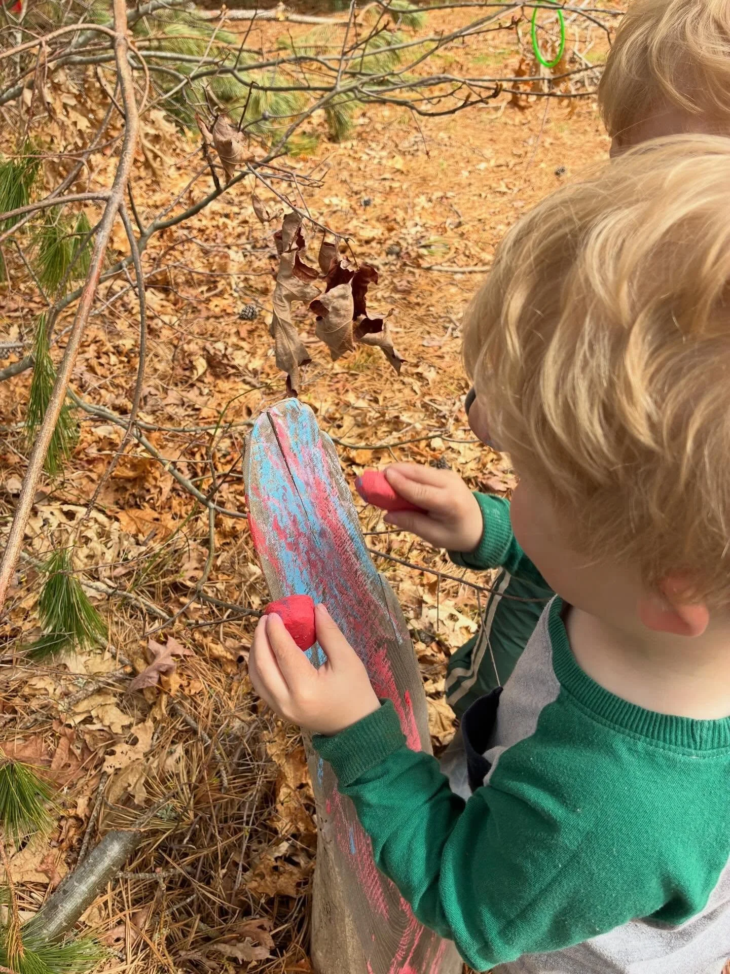 Remember that time we just touched trees all day? Yeahhhh me too 🤩☀️❤️🪾🌲 #urbanforestschool #natureni&ntilde;os