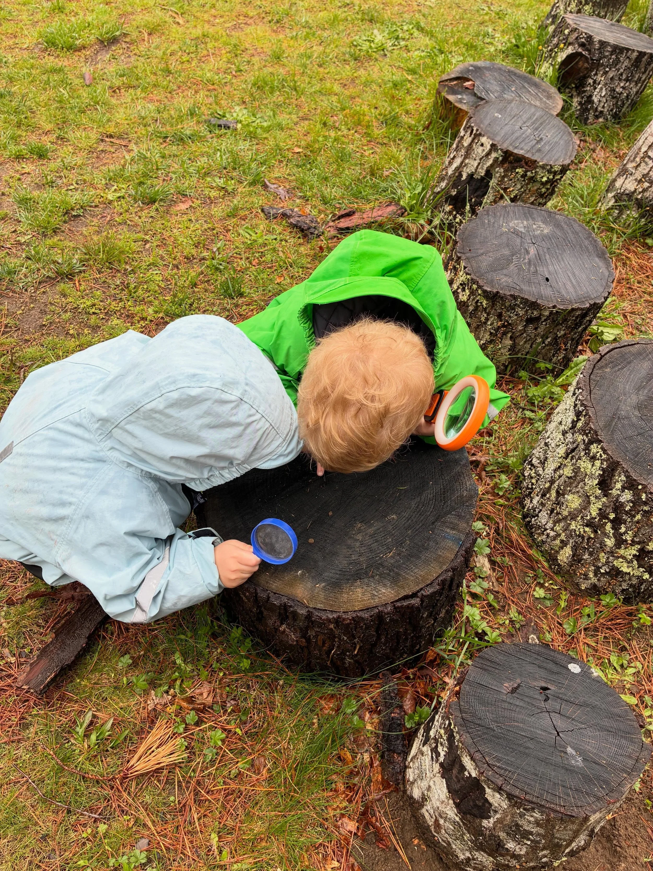 Wet days are the best days for investing 🌱🤓🥽💧🔎🤩 #urbanforestschool #natureni&ntilde;os