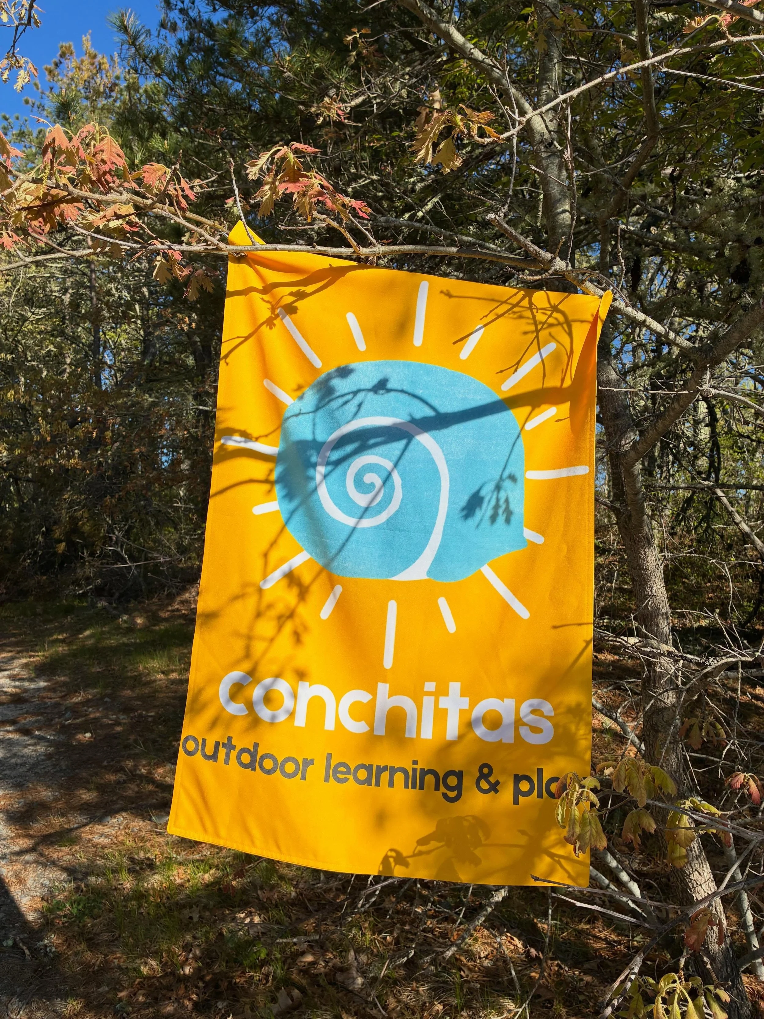 Conchitas in the wild! 🤩☀️Ohhh we had so much FUN at our first Nature Neighbors session at Santuit Pond! An amazing group of explorers - a beautiful place on a beautiful day - a chance to commune with our migratory fish relatives 🔎🌲💧🐟 What could