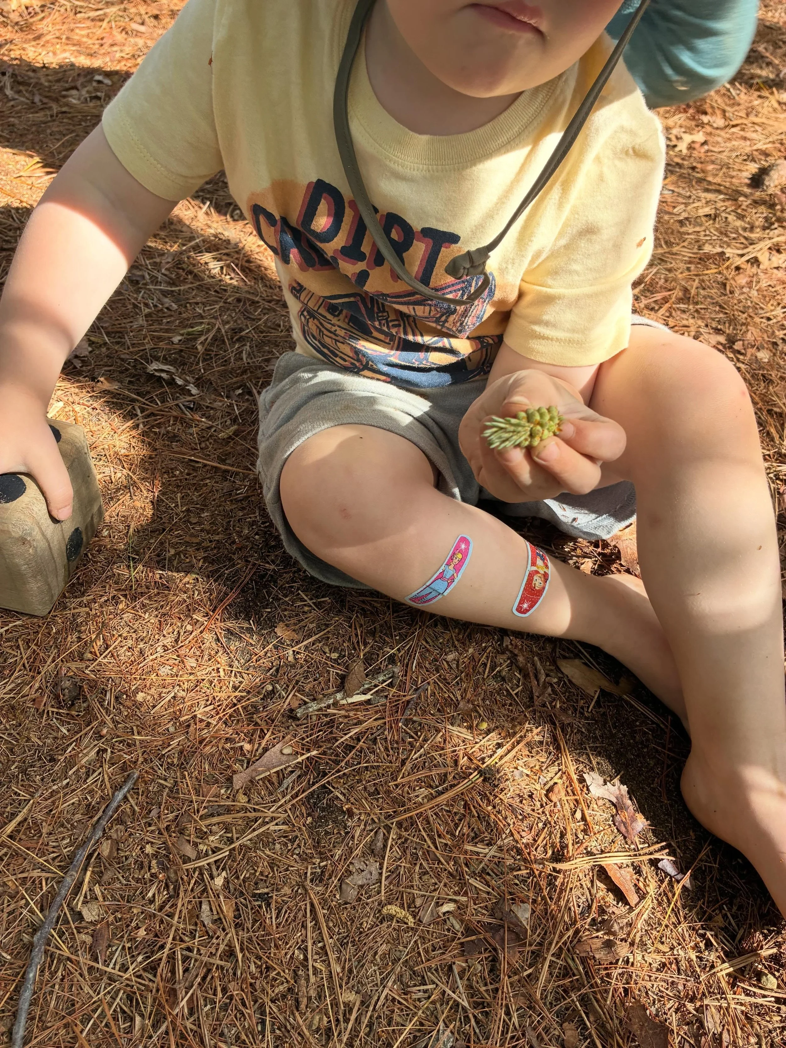 Helloooooo pine pollen!! 🤩☀️🌲💛🤧