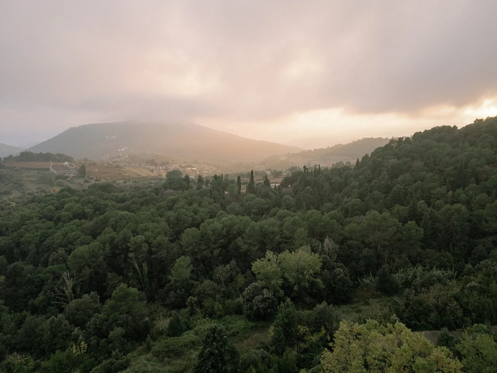 Soft evening light over forested hills under a cloudy sky