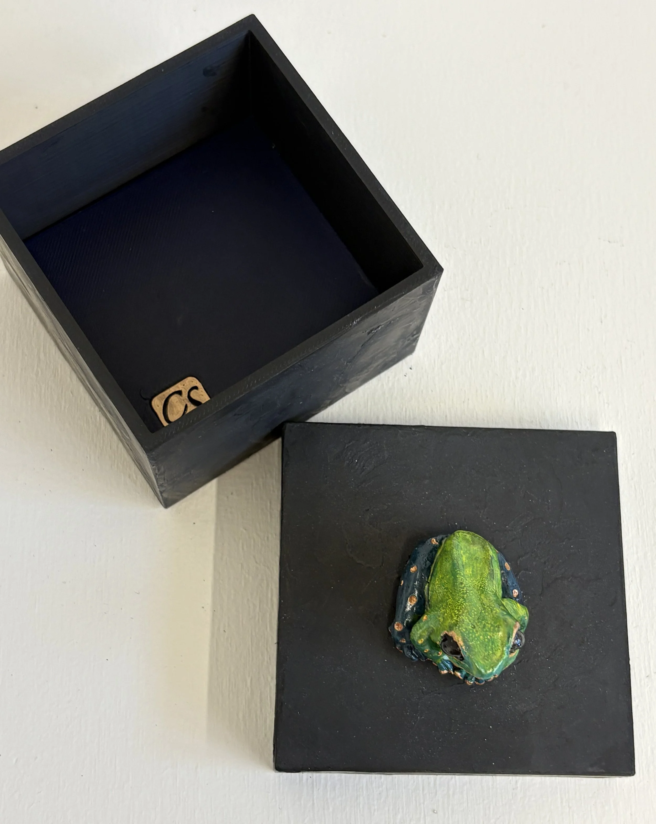 Green.Blue Frog Square Box Open View.jpg