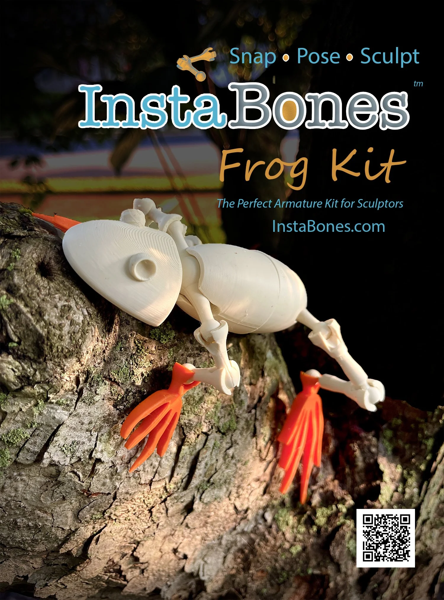 InstaBones Frog Kit