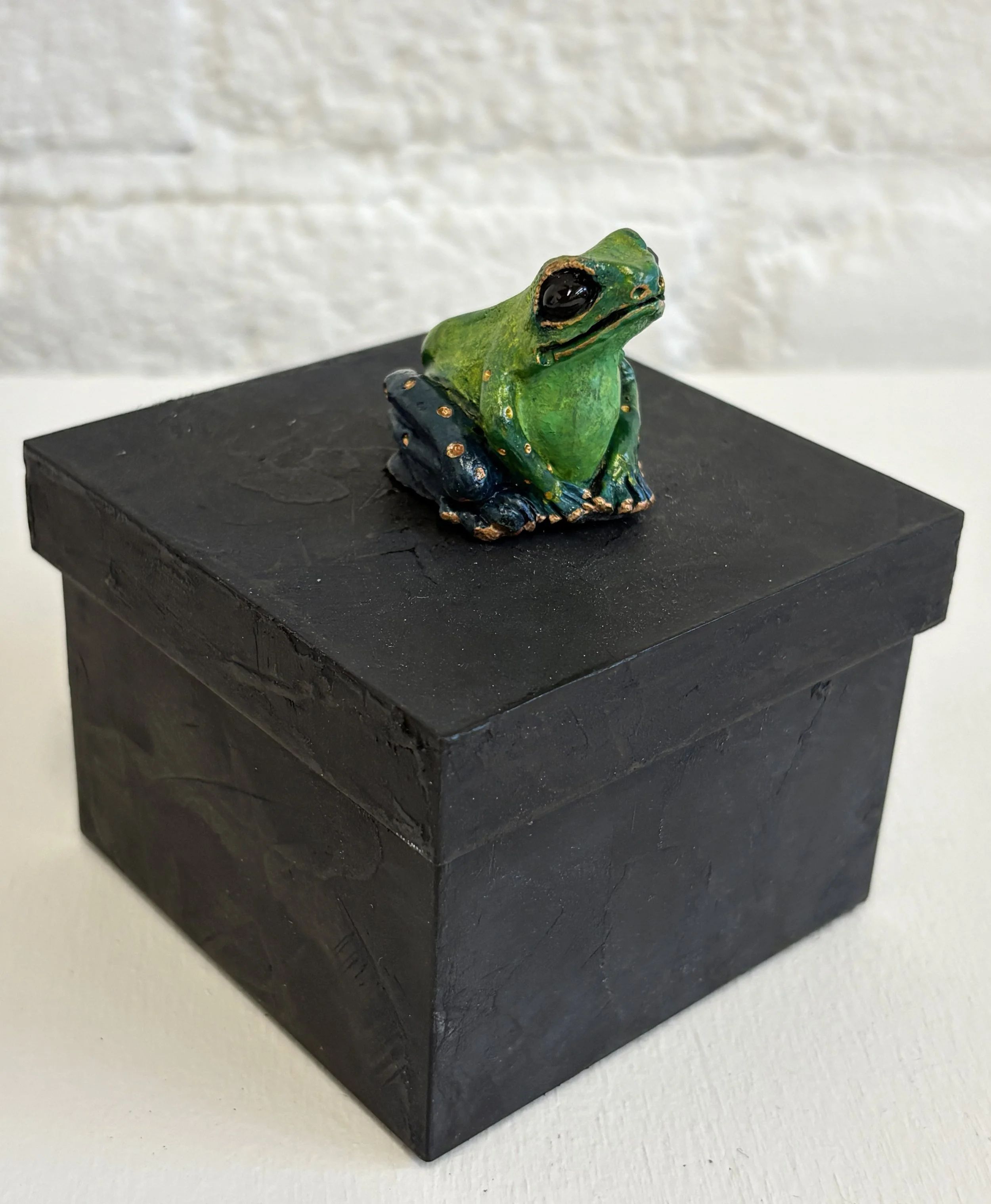 Green.Blue Frog Square Box Side View.jpg