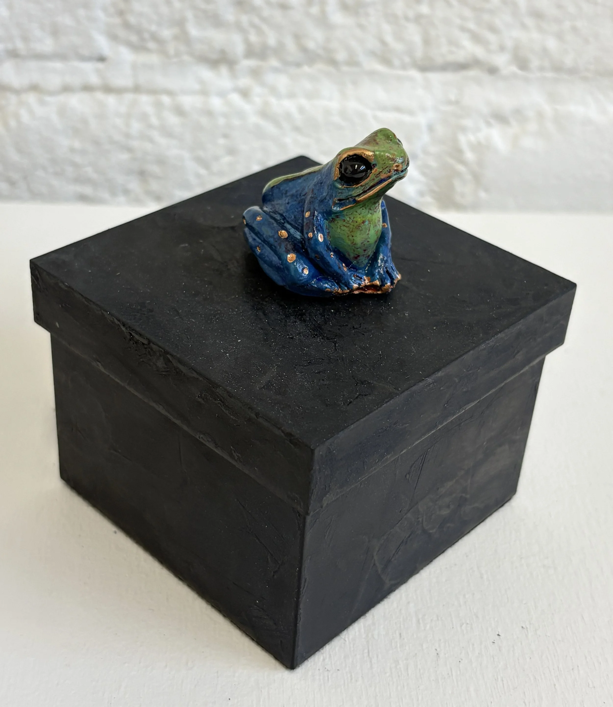 Blue Green Square Frog Box Side View.jpg