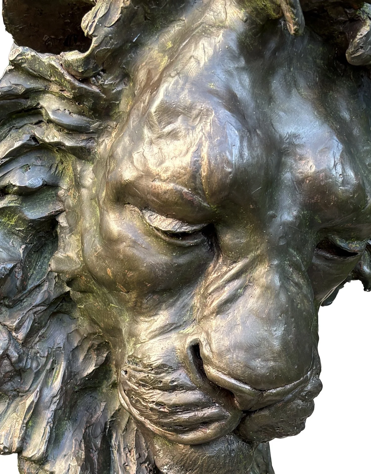 Sol Submission for Timeless detail.jpg