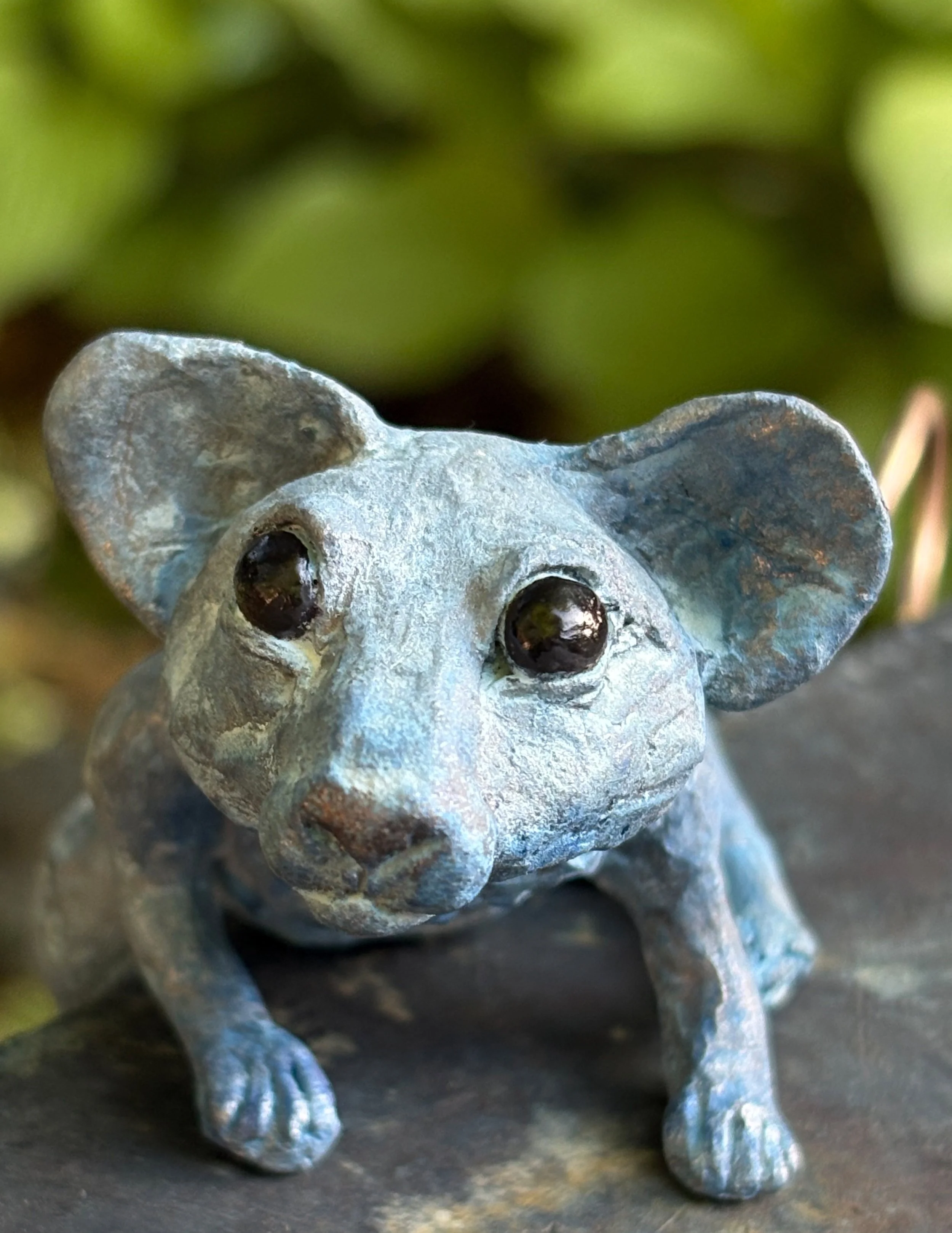 Mischief closeup.jpg