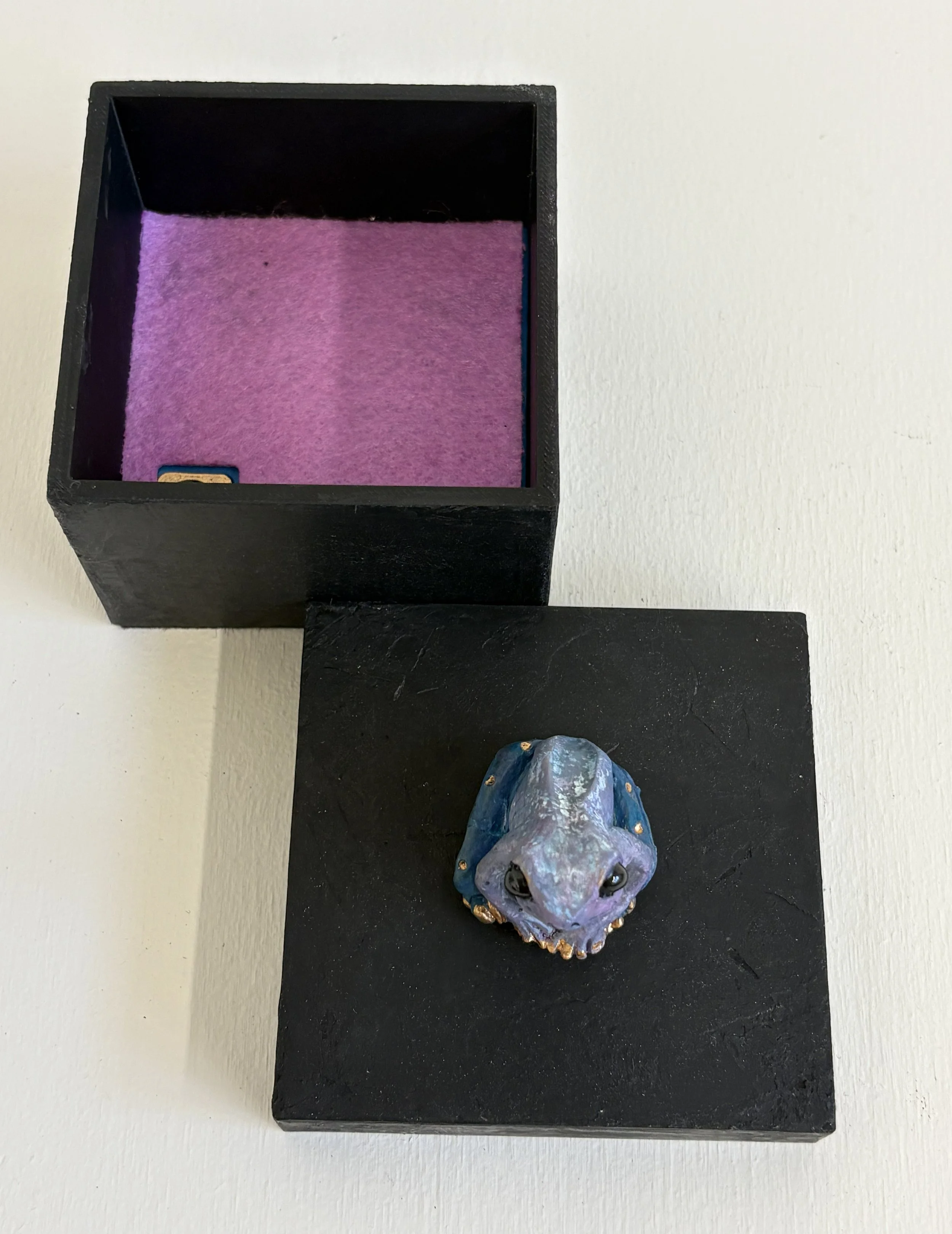Lavendar and Blue Square Frog Box Open View.jpg