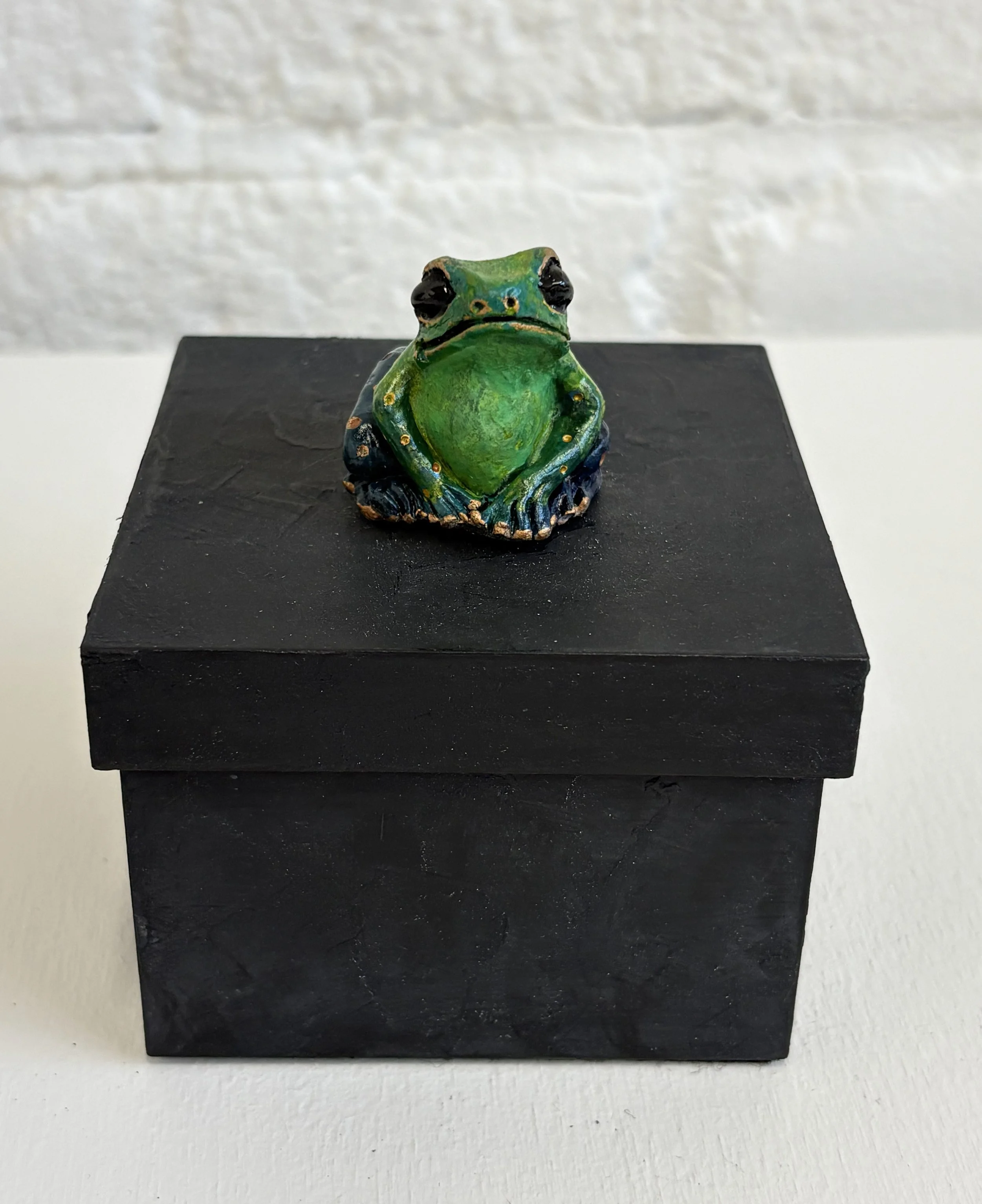 Green.Blue Frog Square Box Front View.jpg