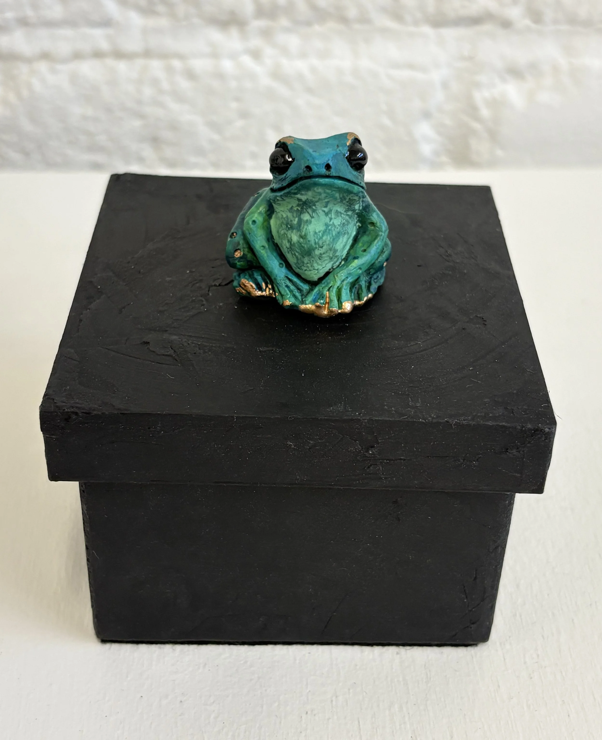 Teal and Green Square Frog Box Front View.jpg