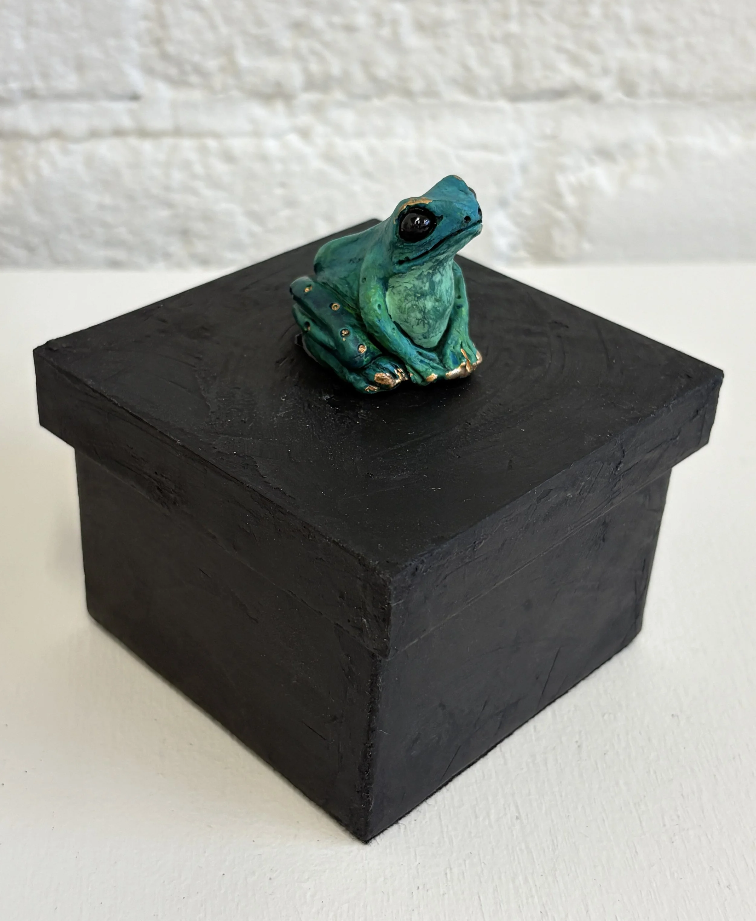 Teal and Green Square Frog Box Side View.jpg