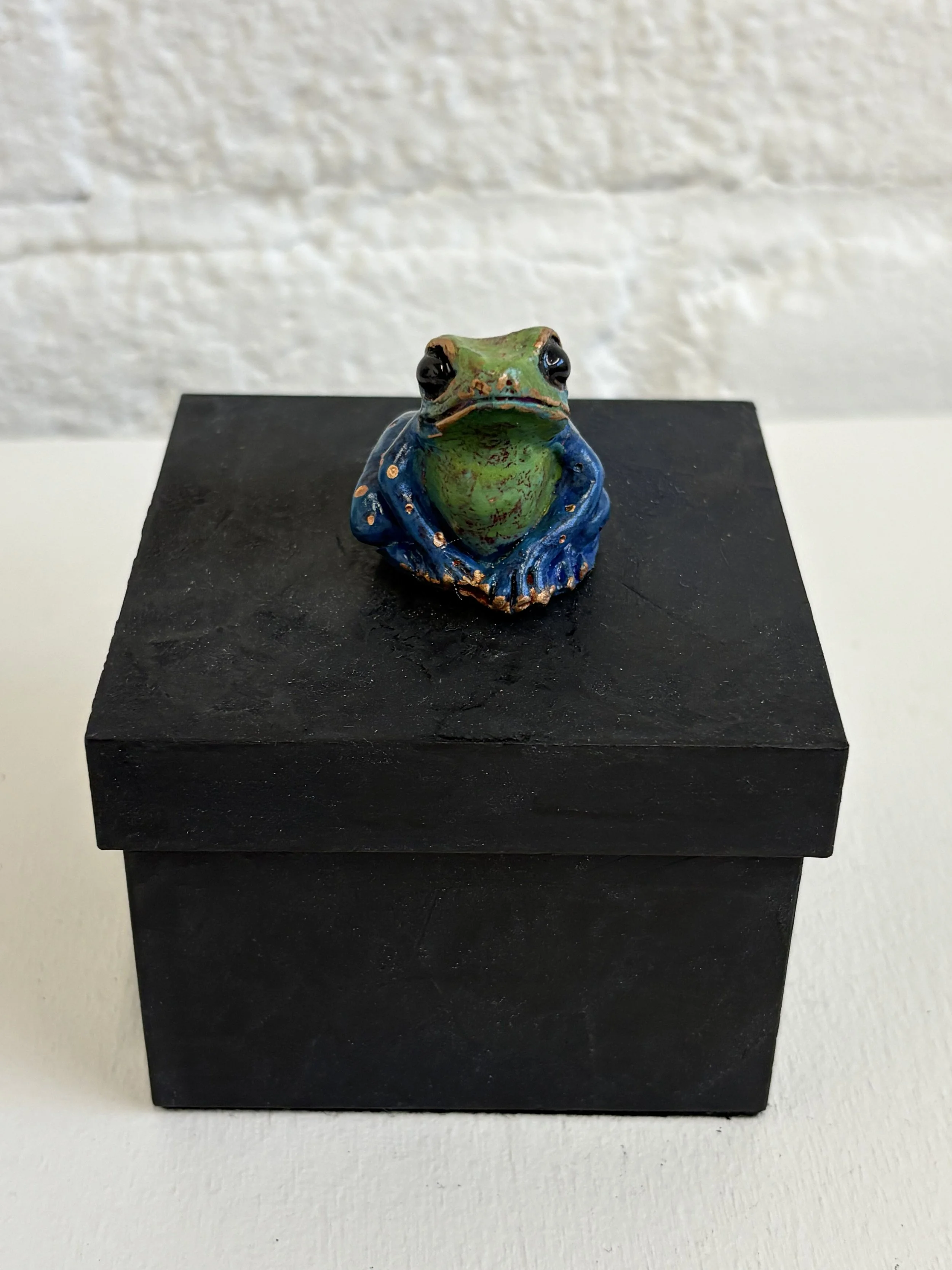 Blue Green Square Frog Box Front View.jpg