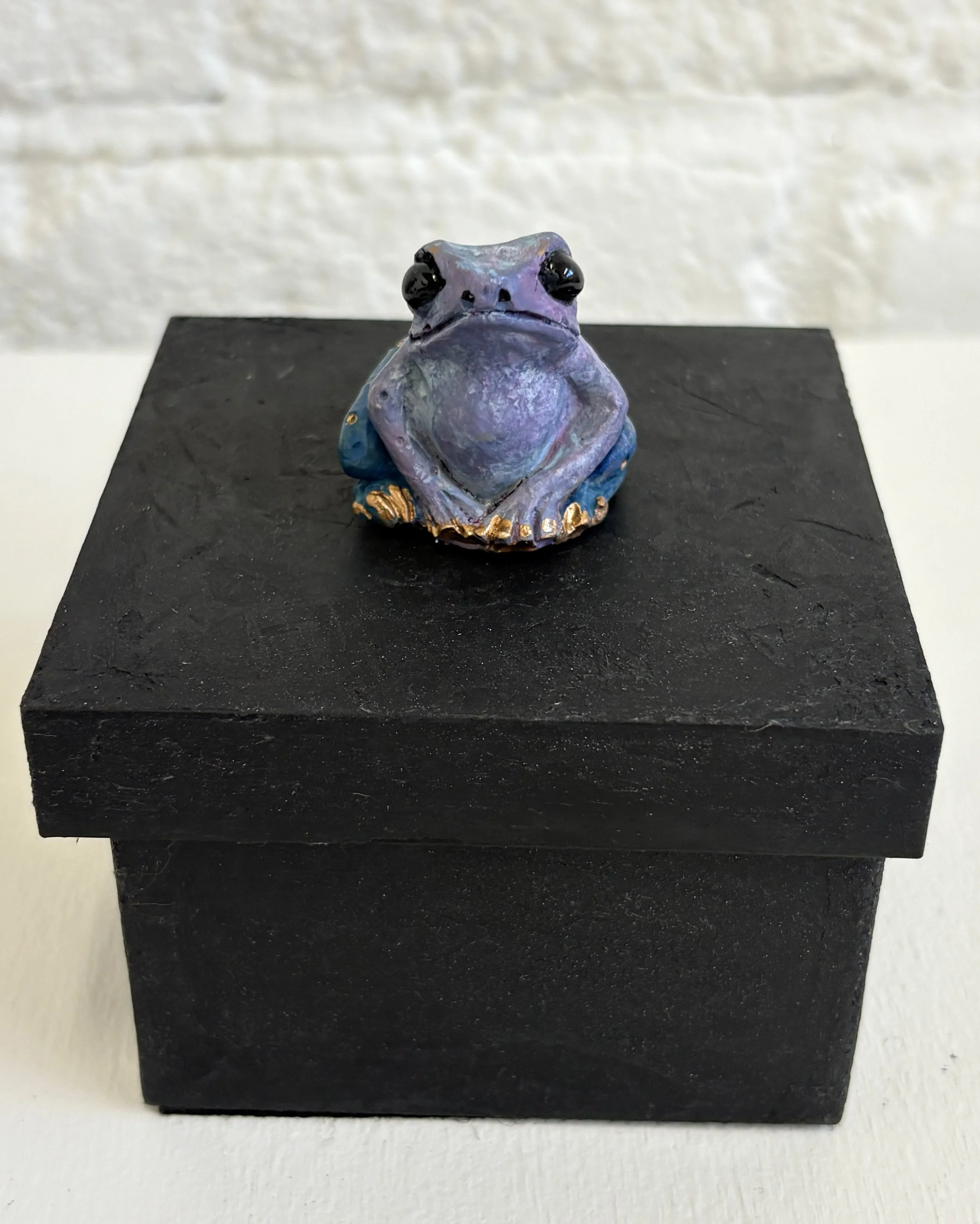 Lavendar and Blue Square Frog Box Front View.jpg