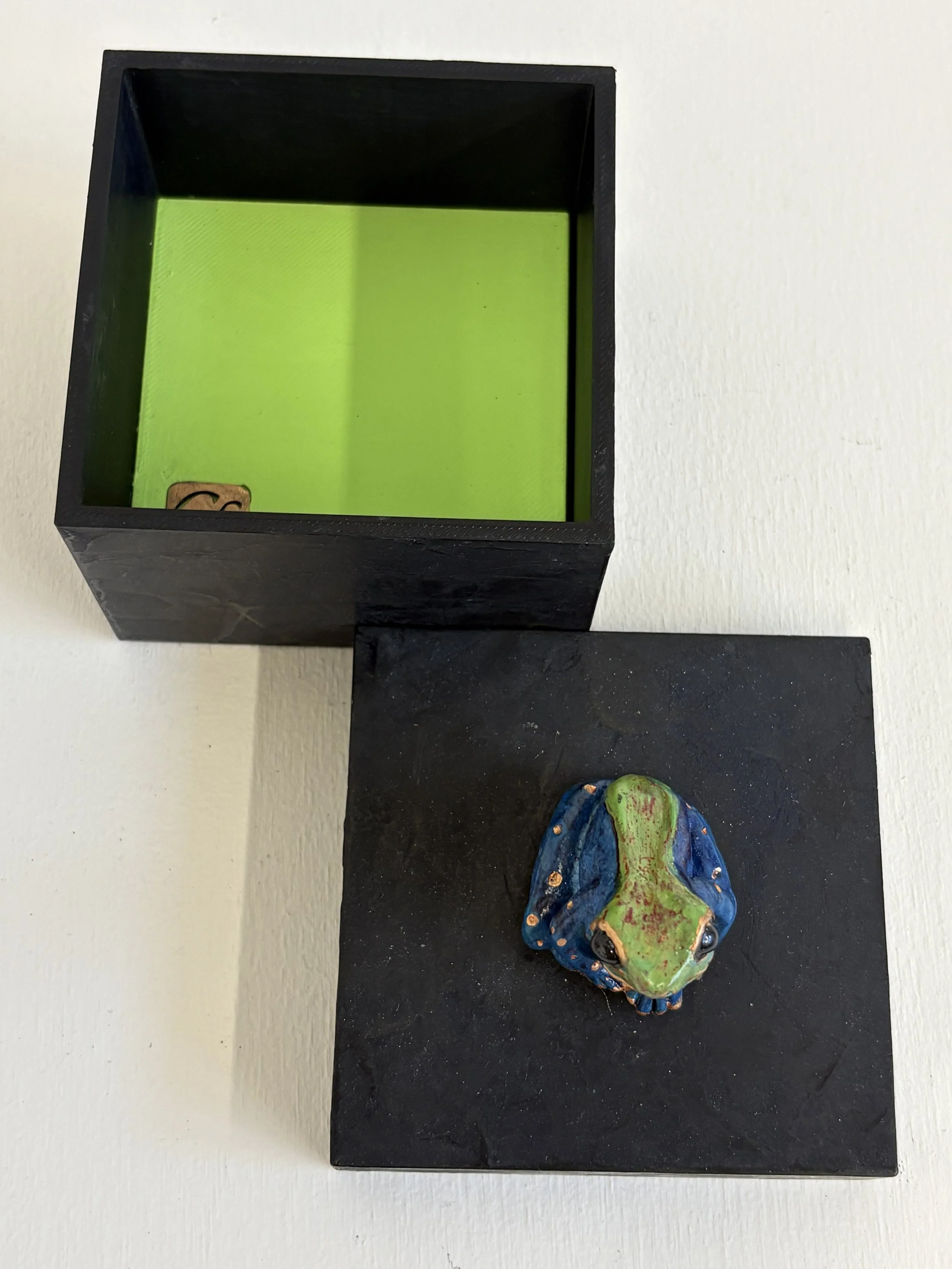 Blue Green Square Frog Box Open View.jpg