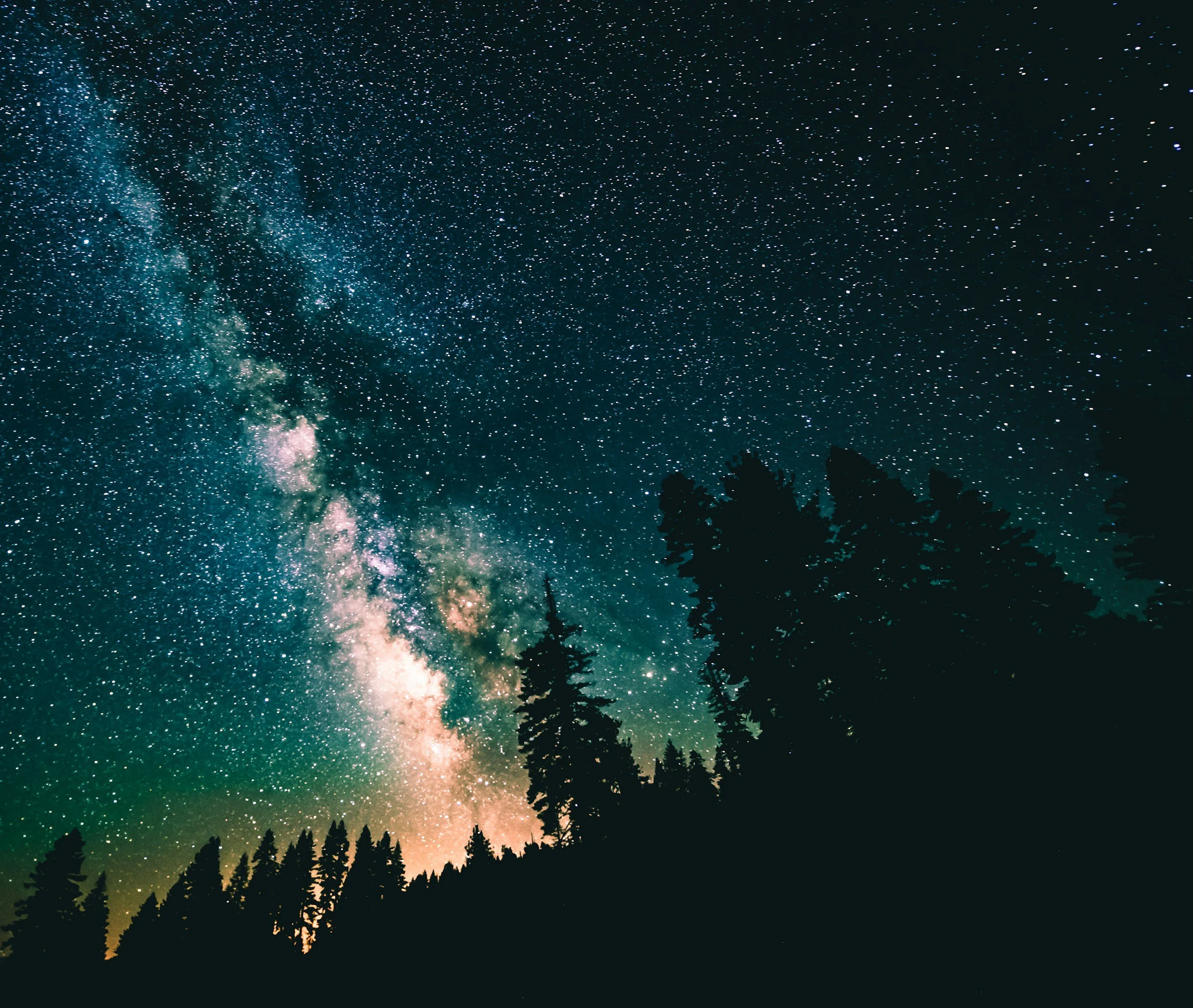 Night sky filled with stars and the Milky Way galaxy visible over a silhouette of pine trees.