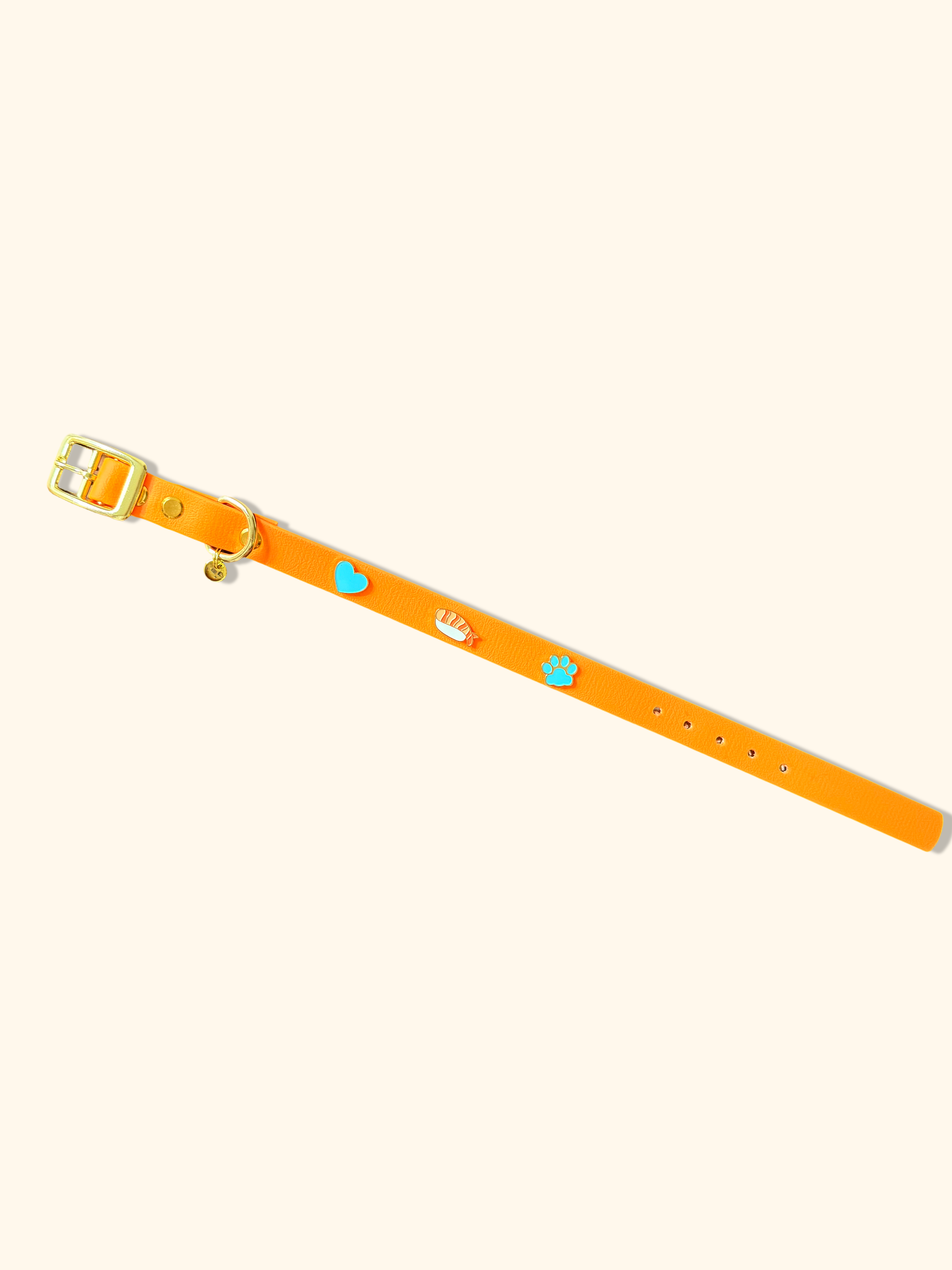 Collier pour chiens original 100% personnalisable, résistant, coloré | Thisiskobito