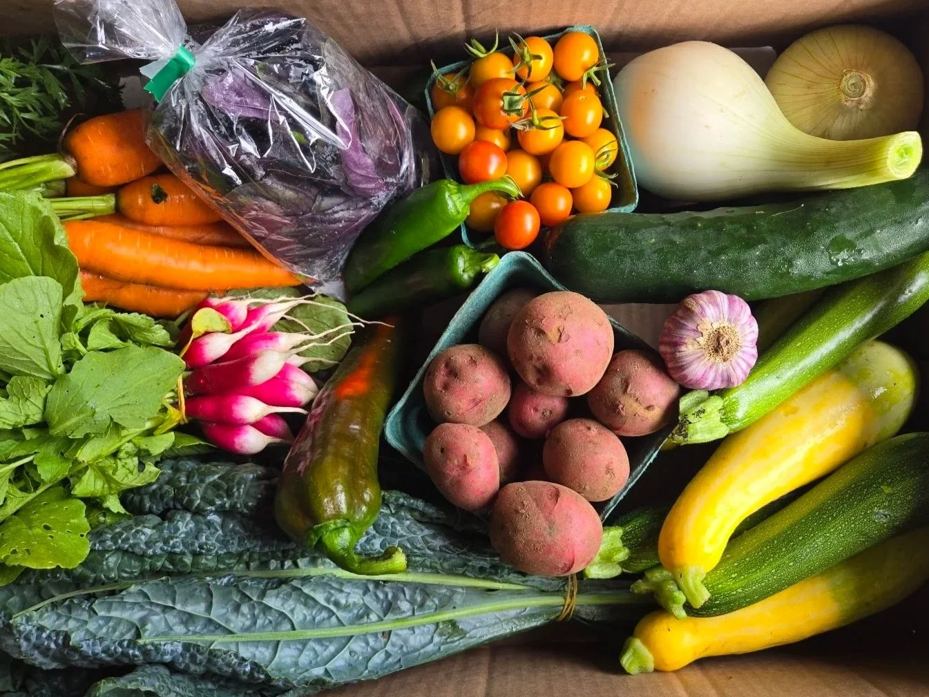 Assorted fresh vegetables including carrots, radishes, zucchini, yellow squash, cherry tomatoes, garlic, leeks, cucumbers, bell peppers, and leafy greens.