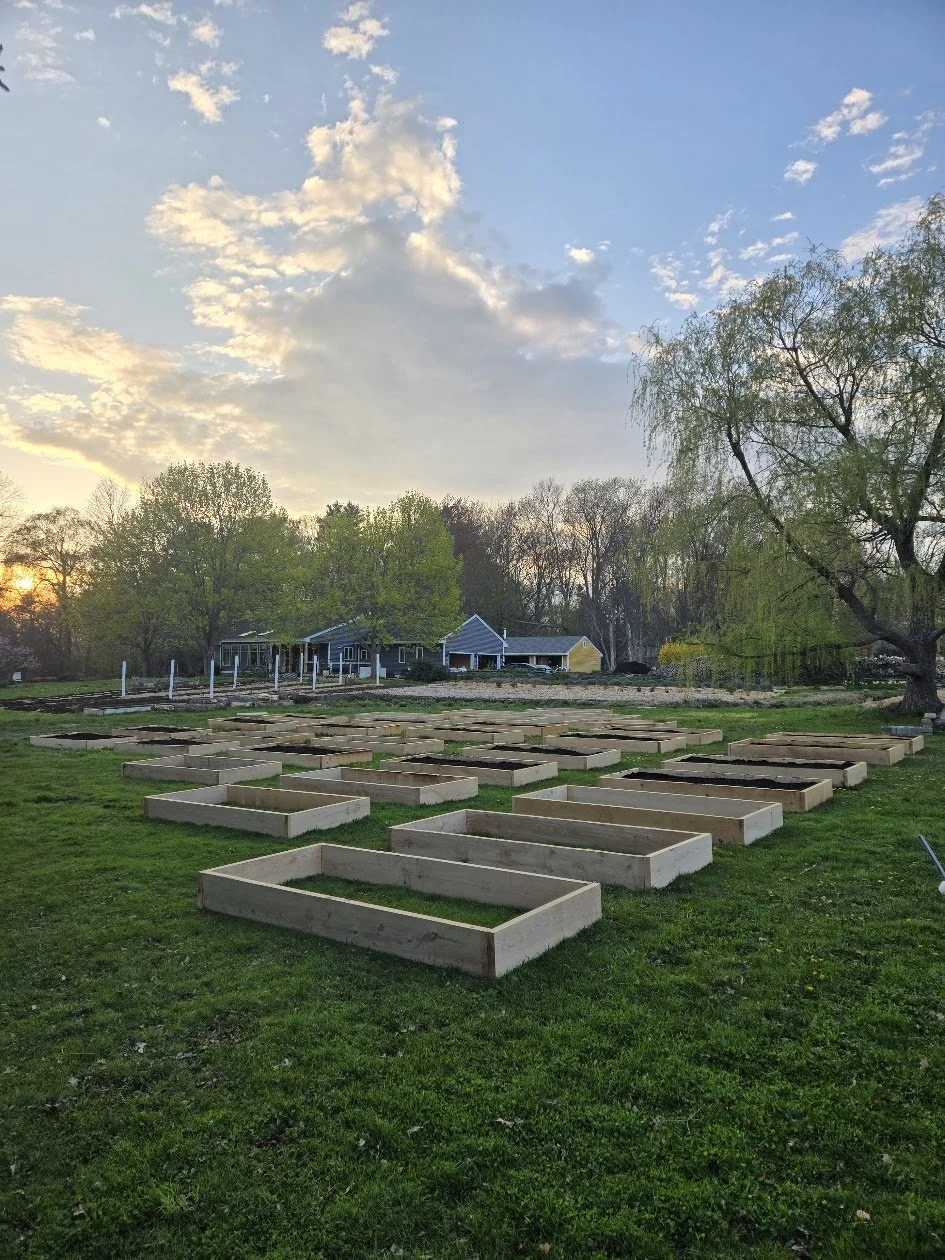 A garden with multiple empty raised wooden beds on green grass, trees surrounding the area, and houses in the background under a partly cloudy sky during sunset.