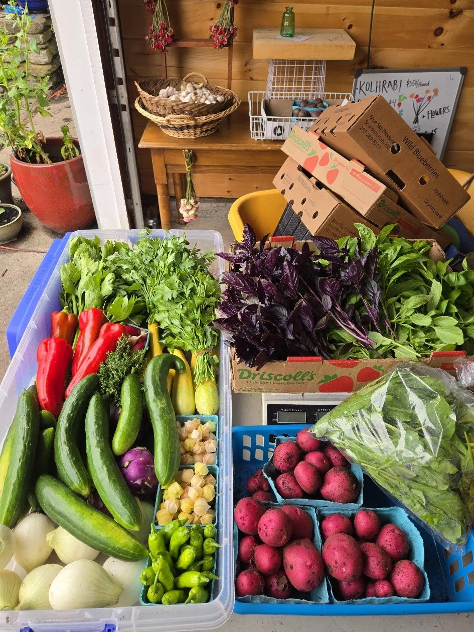 Fresh vegetables and herbs at a farmer's market stall, including red and green peppers, cucumbers, onions, radishes, and leafy greens.