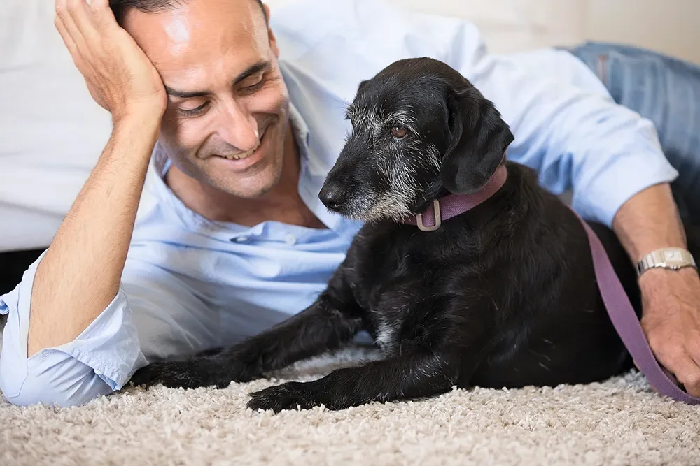 Hund und Mann liegend