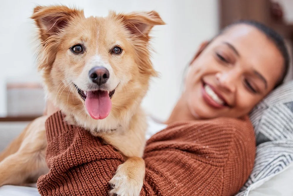 Hund mit Mensch kuschlen