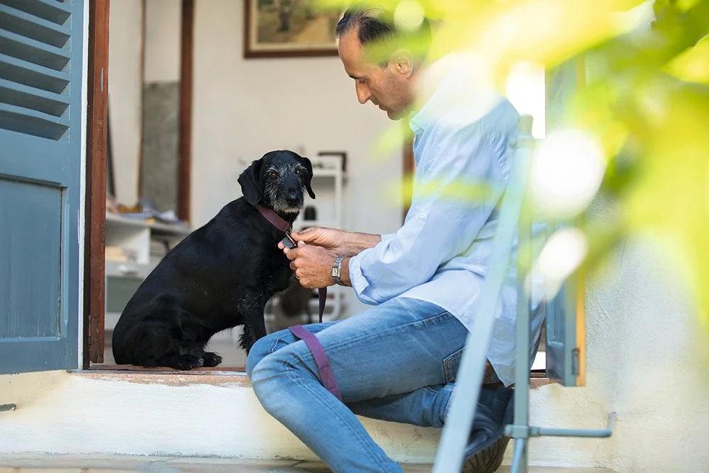 Hund wird Leine angelegt