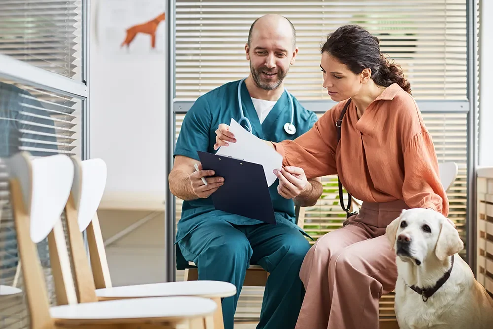 Hund und zwei Menschen