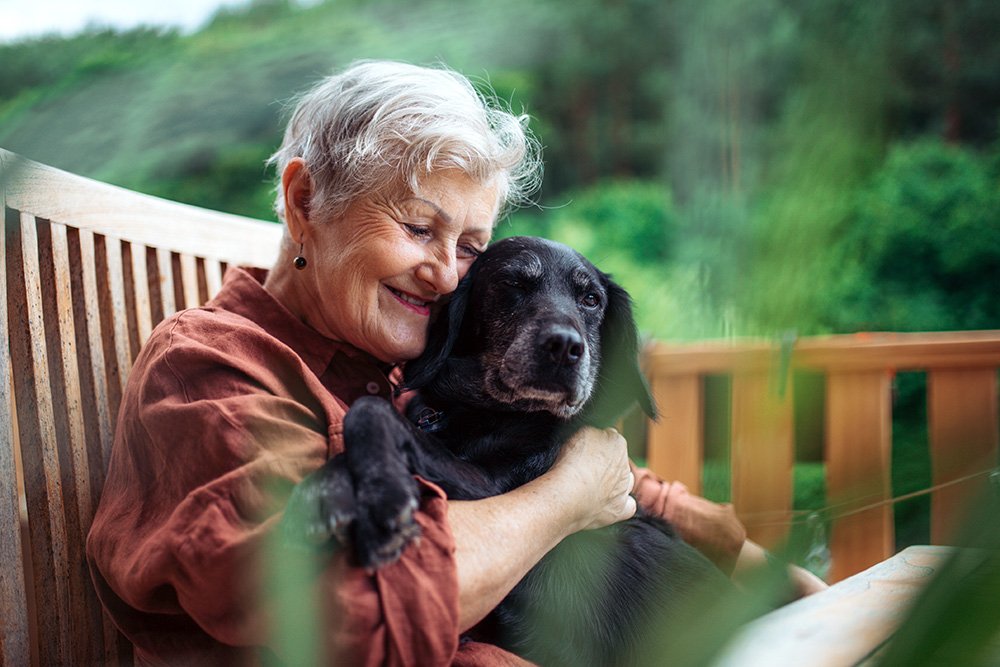 Hund und Senior