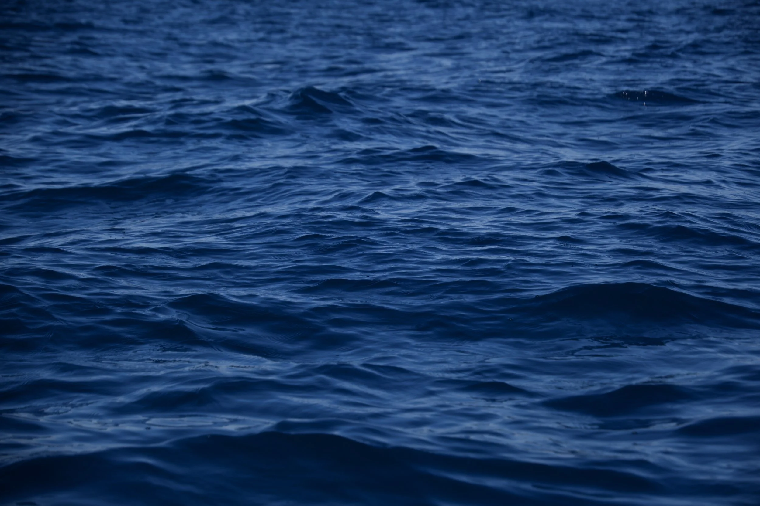 Open blue ocean water with gentle waves.